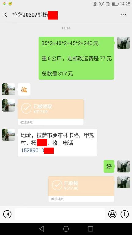 3月19日拉萨客户转账317元至微信账户